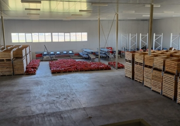 Комплекс по переработке фруктов, овощей и ягодных культур с камерами заморозки и хранилищем на 1515 тонн